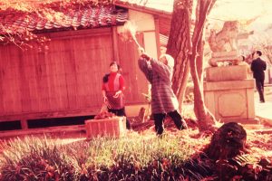 women-cleaning-up-on-shrine-property-japan