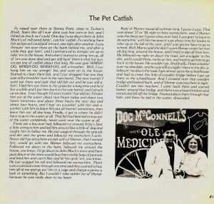 pg-51-the-pet-catfish