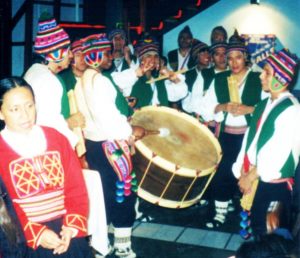 peruvian-musicians-at-dance-festival
