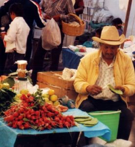 san-miguel-market-vendor-scraping-cactus-leaves
