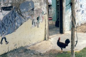 venezuela-simple-house-chicken